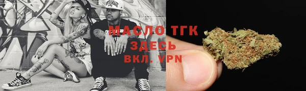 молекула духа Переславль-Залесский