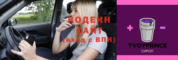 молекула духа Переславль-Залесский