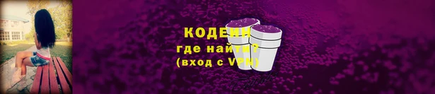 молекула духа Переславль-Залесский