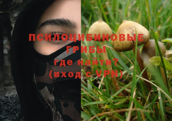 мяу мяу мука Пересвет