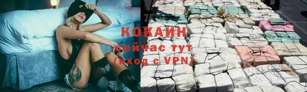 соль ск Пестово