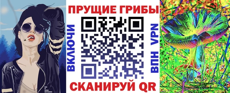 Купить закладки  Старая Русса  Псилоцибиновые грибы прущие грибы 